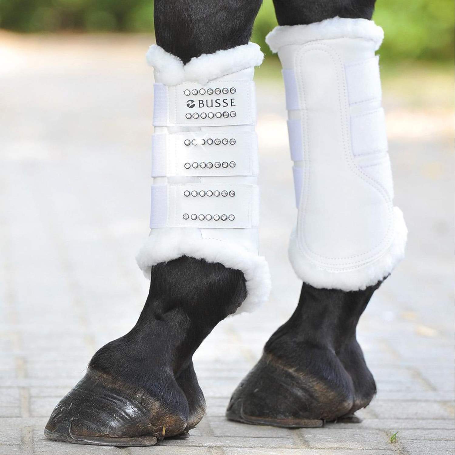 Busse tendon boots hotsell